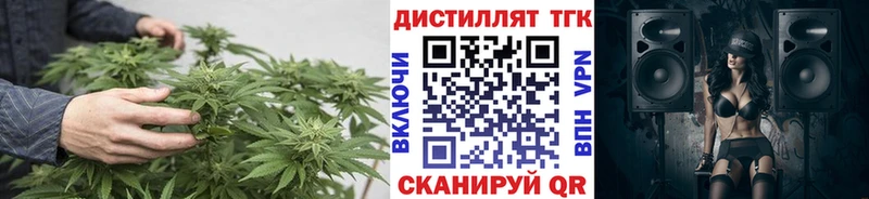 Дистиллят ТГК концентрат  Новоалександровск 