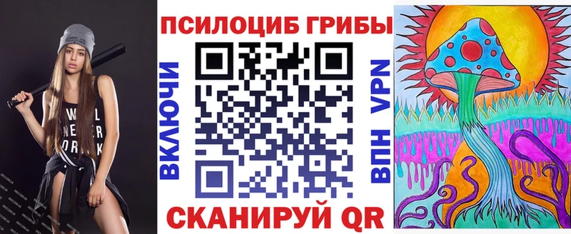 Псилоцибиновые грибы Psilocybine cubensis  Новоалександровск 