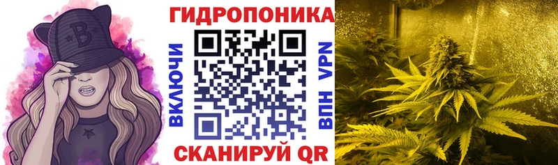 MEGA ссылка  Новоалександровск  Бошки марихуана планчик 